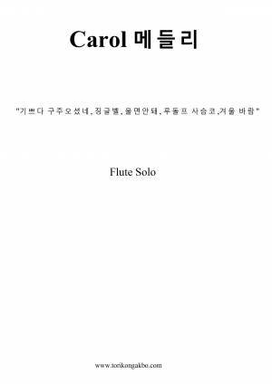 캐롤 메들리 - 플릇 솔로